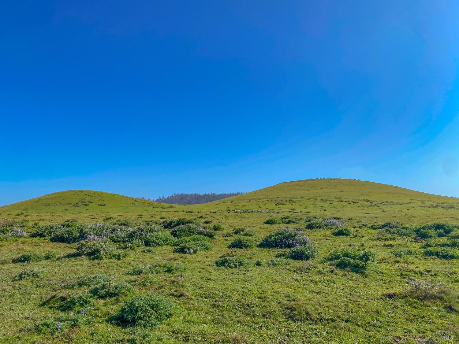 Detail Gallery Image 42 of 50 For 3400 N Highway 1 Unkn, Albion,  CA 95410 - – Beds | – Baths
