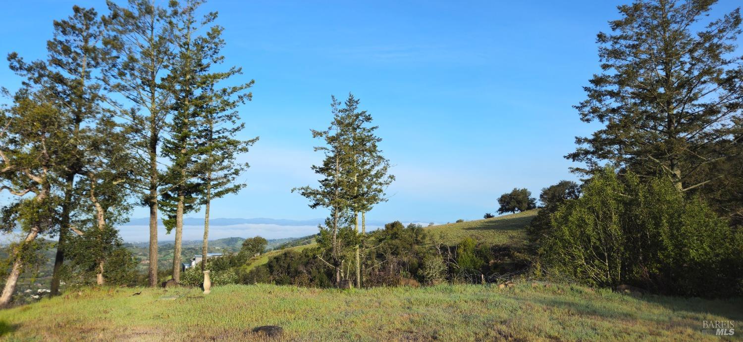 Detail Gallery Image 22 of 22 For 5930 Heights Rd, Santa Rosa,  CA 95404 - – Beds | – Baths