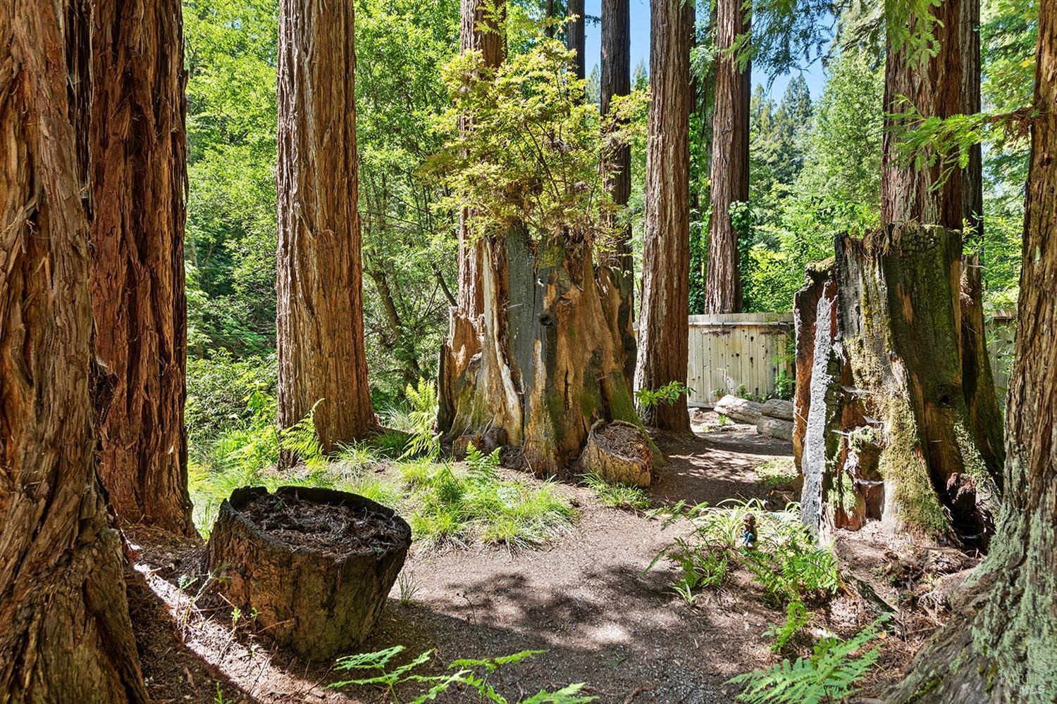 Detail Gallery Image 45 of 47 For 10 Wildwood Ln, Cazadero,  CA 95421 - 1 Beds | 1 Baths