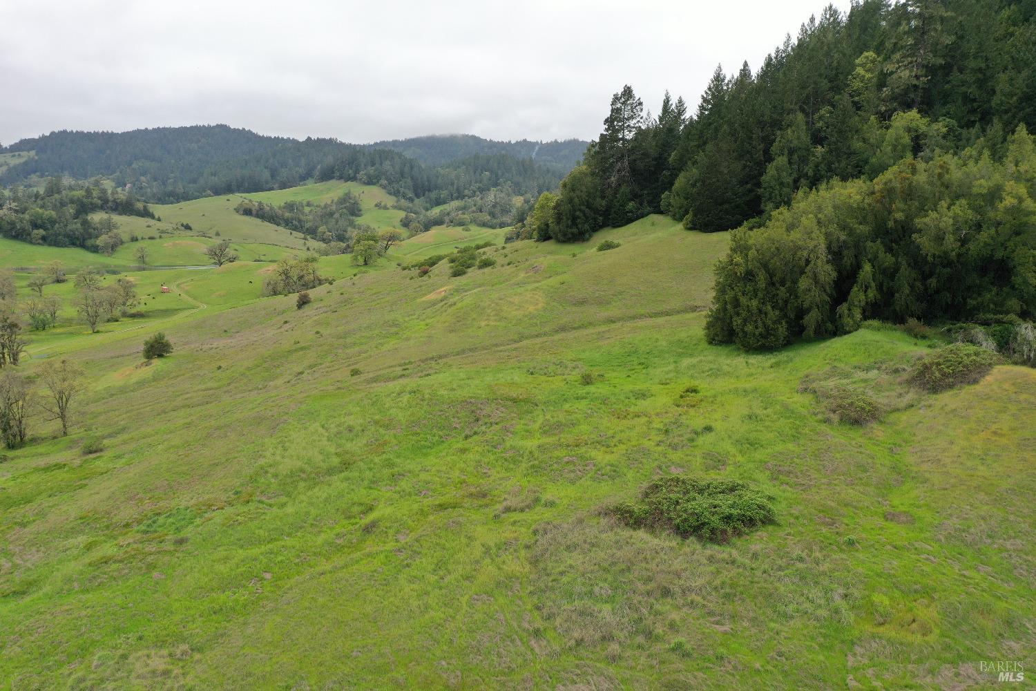 Detail Gallery Image 11 of 23 For 2115 Hwy 20 Hwy, Willits,  CA 95490 - 1 Beds | 1 Baths
