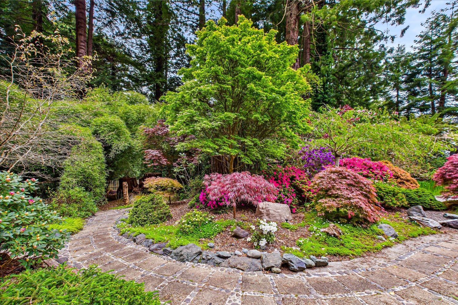 Detail Gallery Image 57 of 78 For 2300 S St, Eureka,  CA 95501 - 4 Beds | 3 Baths