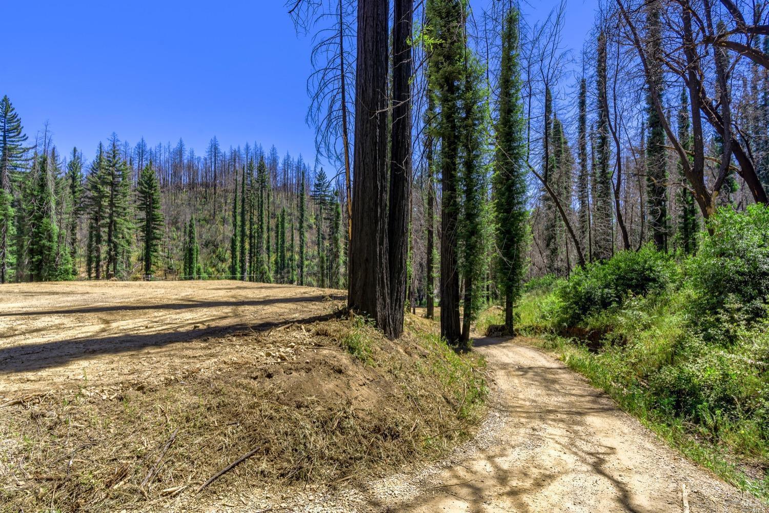Detail Gallery Image 7 of 15 For 9440 Mill Creek Rd, Healdsburg,  CA 95448 - – Beds | – Baths
