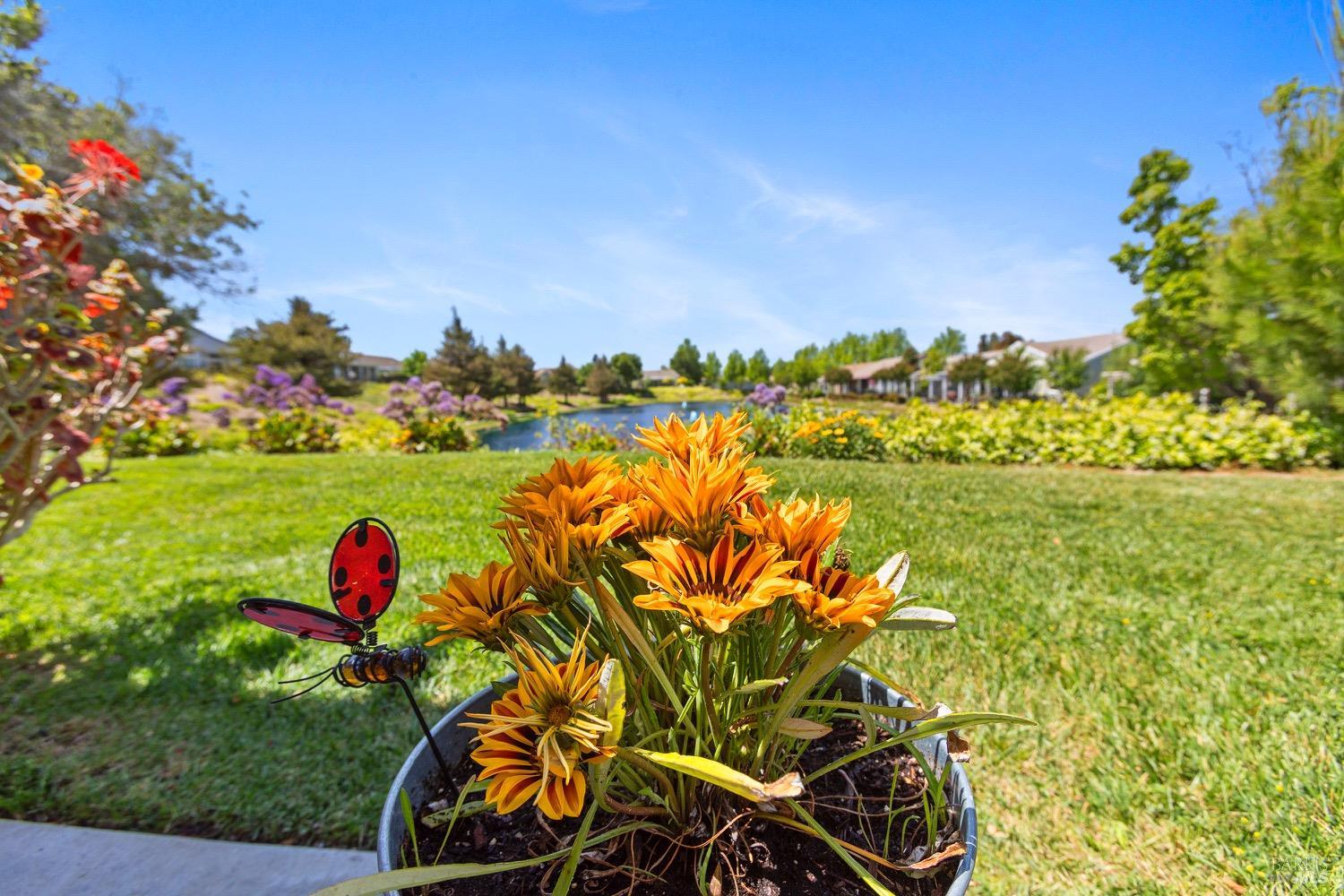 Detail Gallery Image 12 of 40 For 573 Laurel Pl, Rio Vista,  CA 94571 - 2 Beds | 2/1 Baths