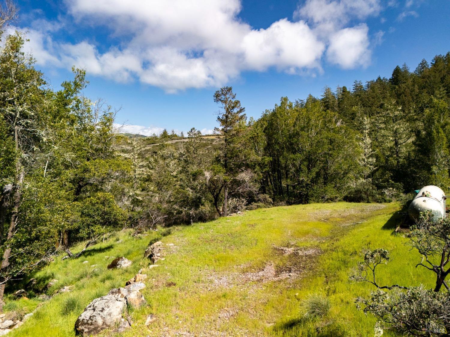 Detail Gallery Image 36 of 39 For Address Is Not Disclosed, Kentfield,  CA 94904 - 4 Beds | 4/1 Baths