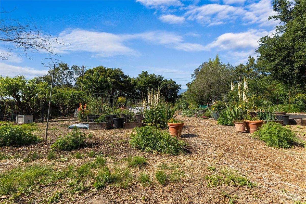 Detail Gallery Image 32 of 39 For 8045 Whited Rd, Sebastopol,  CA 95472 - 2 Beds | 1 Baths