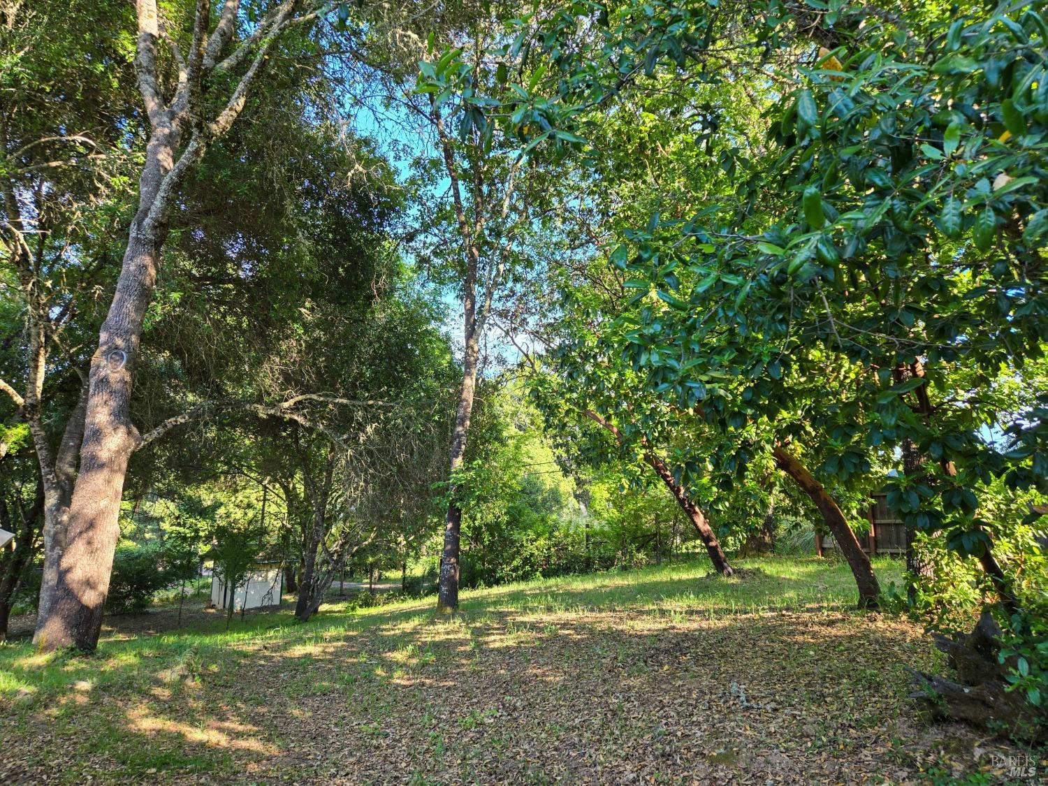 Detail Gallery Image 2 of 62 For 8100 Pinecrest Dr, Redwood Valley,  CA 95470 - 3 Beds | 2 Baths