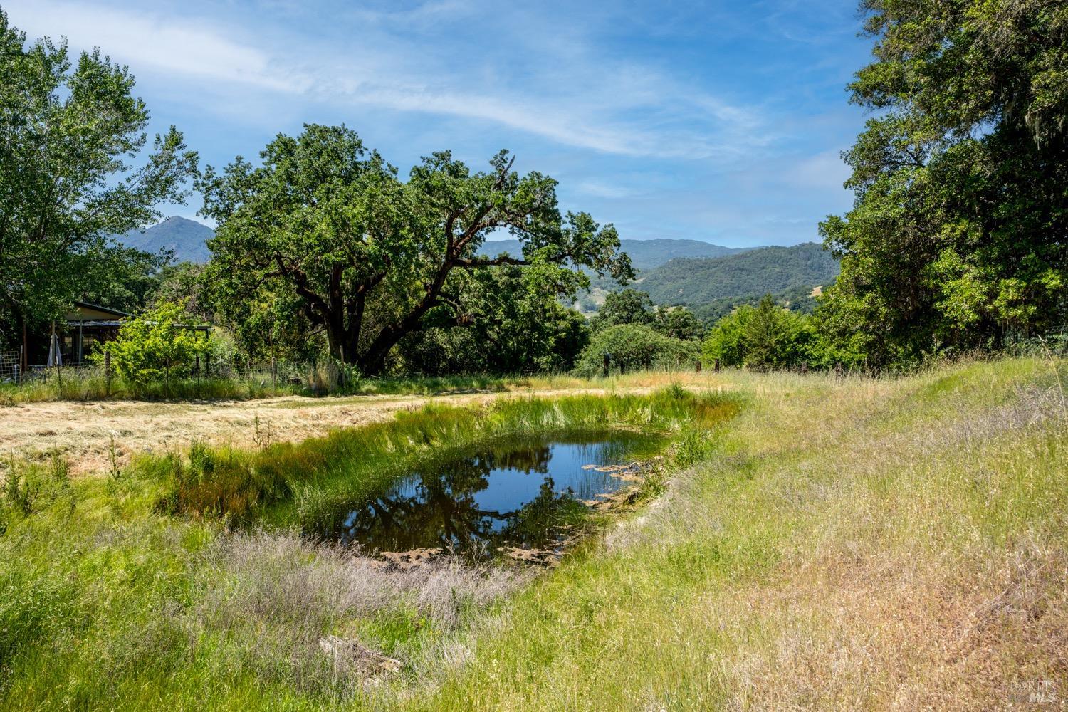 Detail Gallery Image 38 of 57 For 11755 Old River Rd, Hopland,  CA 95449 - 4 Beds | 2/1 Baths