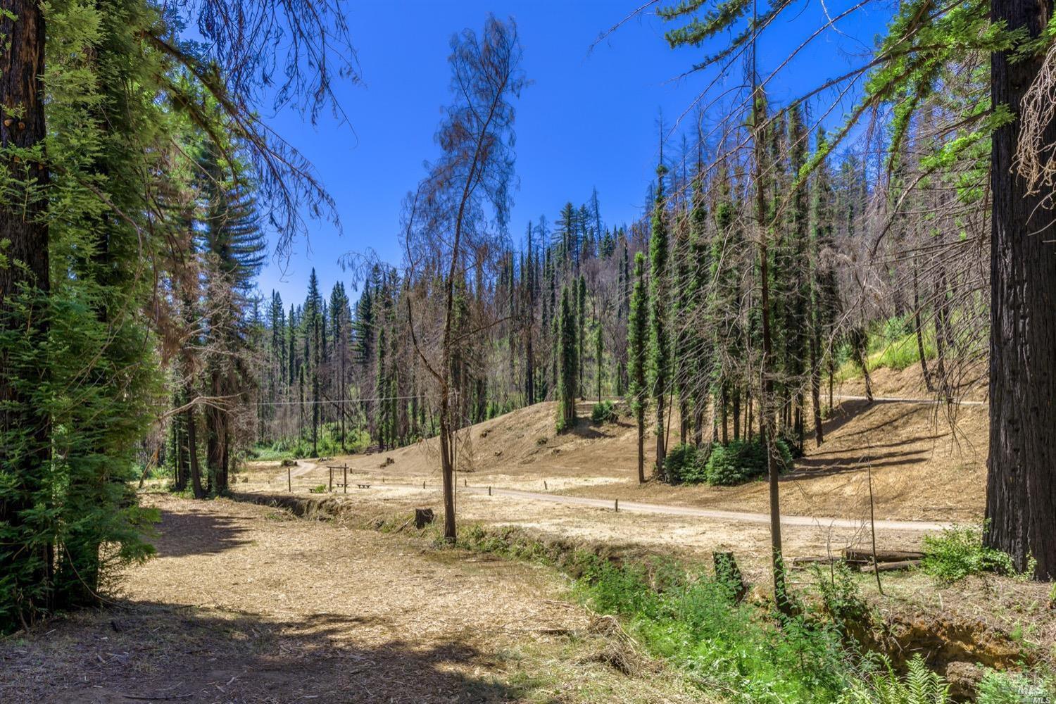 Detail Gallery Image 4 of 15 For 9440 Mill Creek Rd, Healdsburg,  CA 95448 - – Beds | – Baths