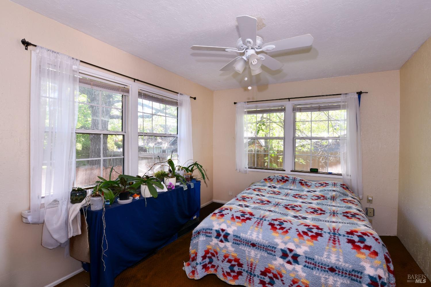 Detail Gallery Image 61 of 89 For 473 Newton Way, Angwin,  CA 94508 - – Beds | – Baths