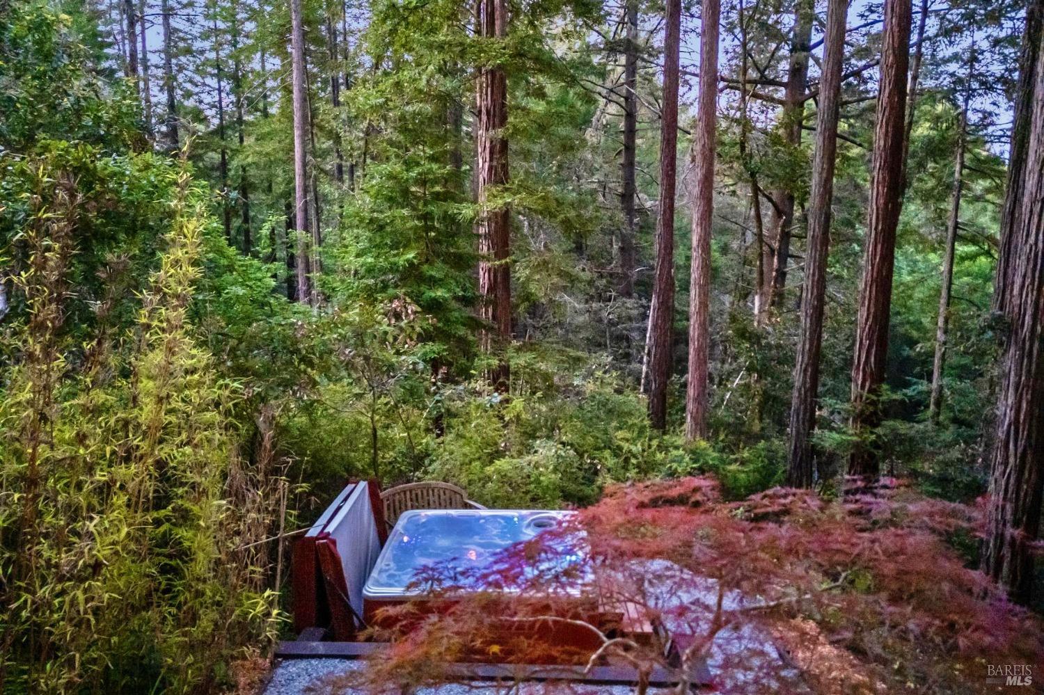Detail Gallery Image 2 of 52 For 18333 Old Monte Rio Rd, Guerneville,  CA 95446 - 1 Beds | 2 Baths