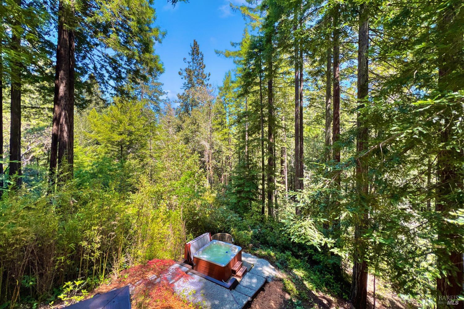 Detail Gallery Image 21 of 52 For 18333 Old Monte Rio Rd, Guerneville,  CA 95446 - 1 Beds | 2 Baths