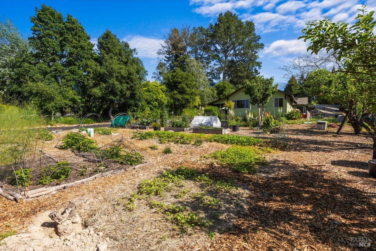 Detail Gallery Image 30 of 39 For 8045 Whited Rd, Sebastopol,  CA 95472 - 2 Beds | 1 Baths