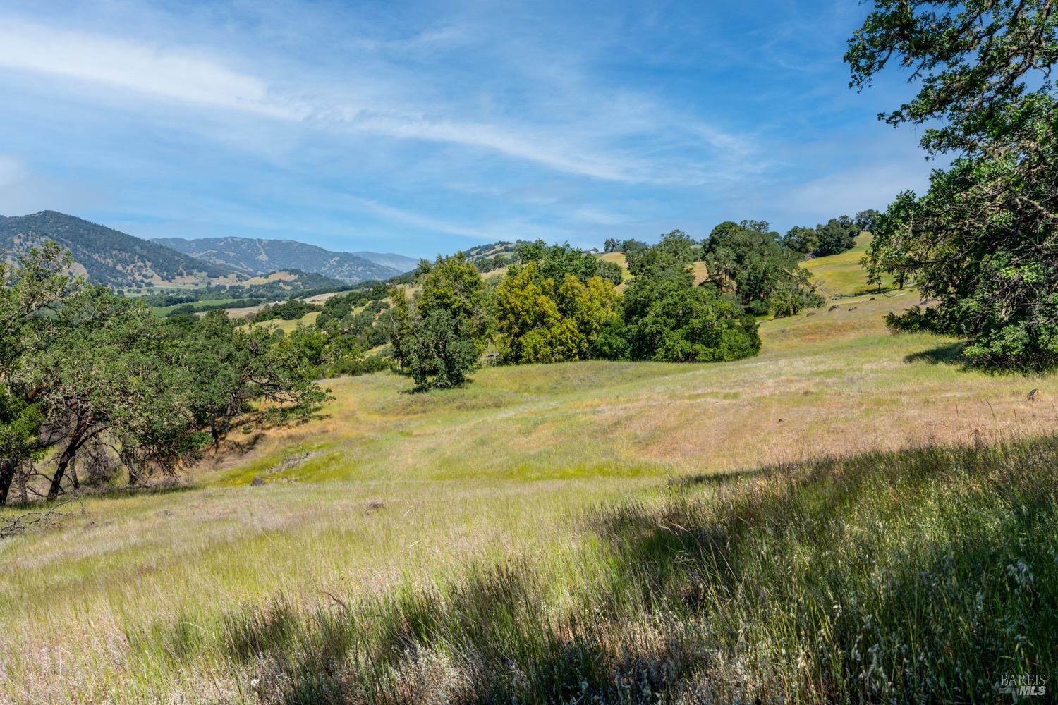 Detail Gallery Image 44 of 57 For 11755 Old River Rd, Hopland,  CA 95449 - 4 Beds | 2/1 Baths