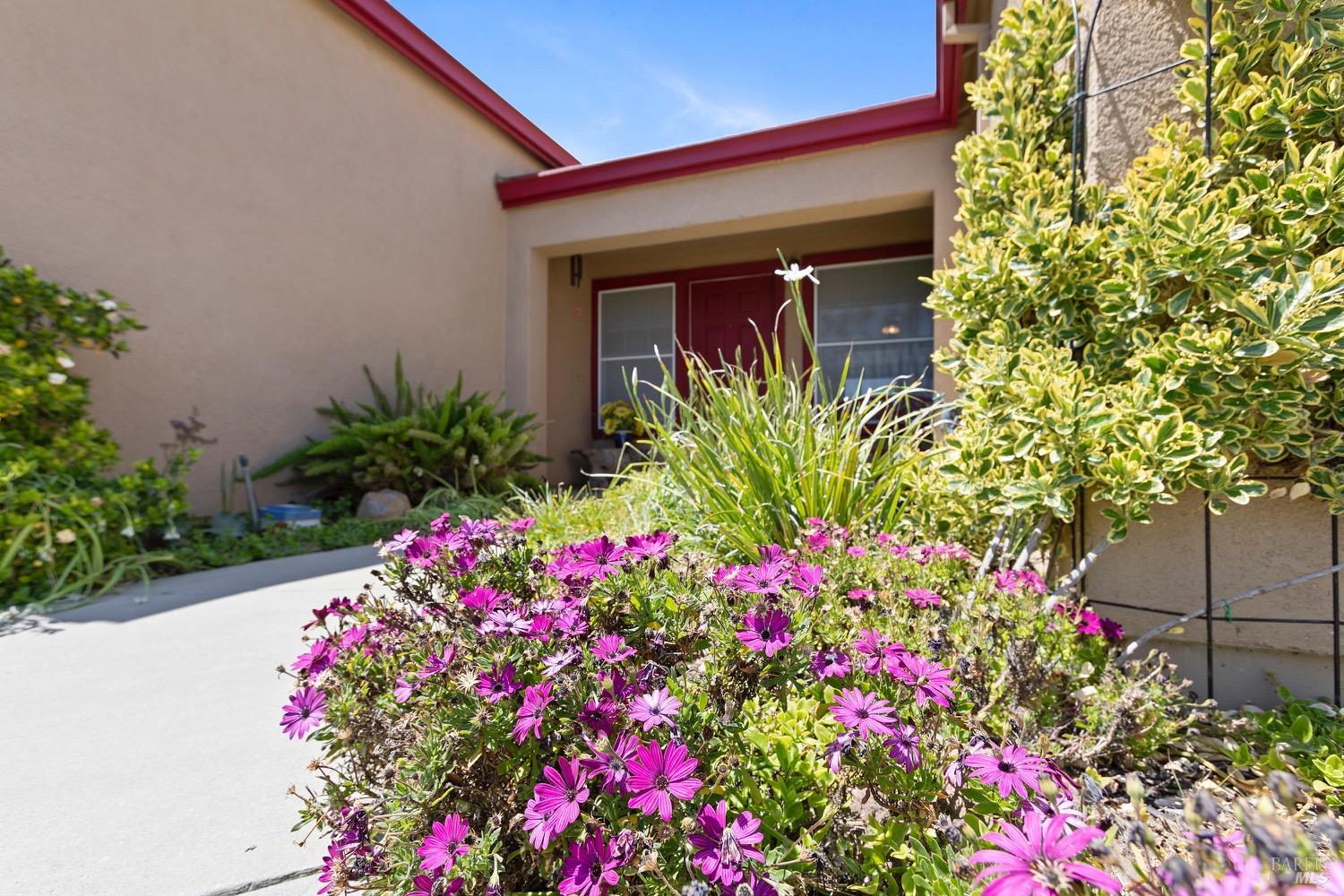 Detail Gallery Image 3 of 40 For 573 Laurel Pl, Rio Vista,  CA 94571 - 2 Beds | 2/1 Baths