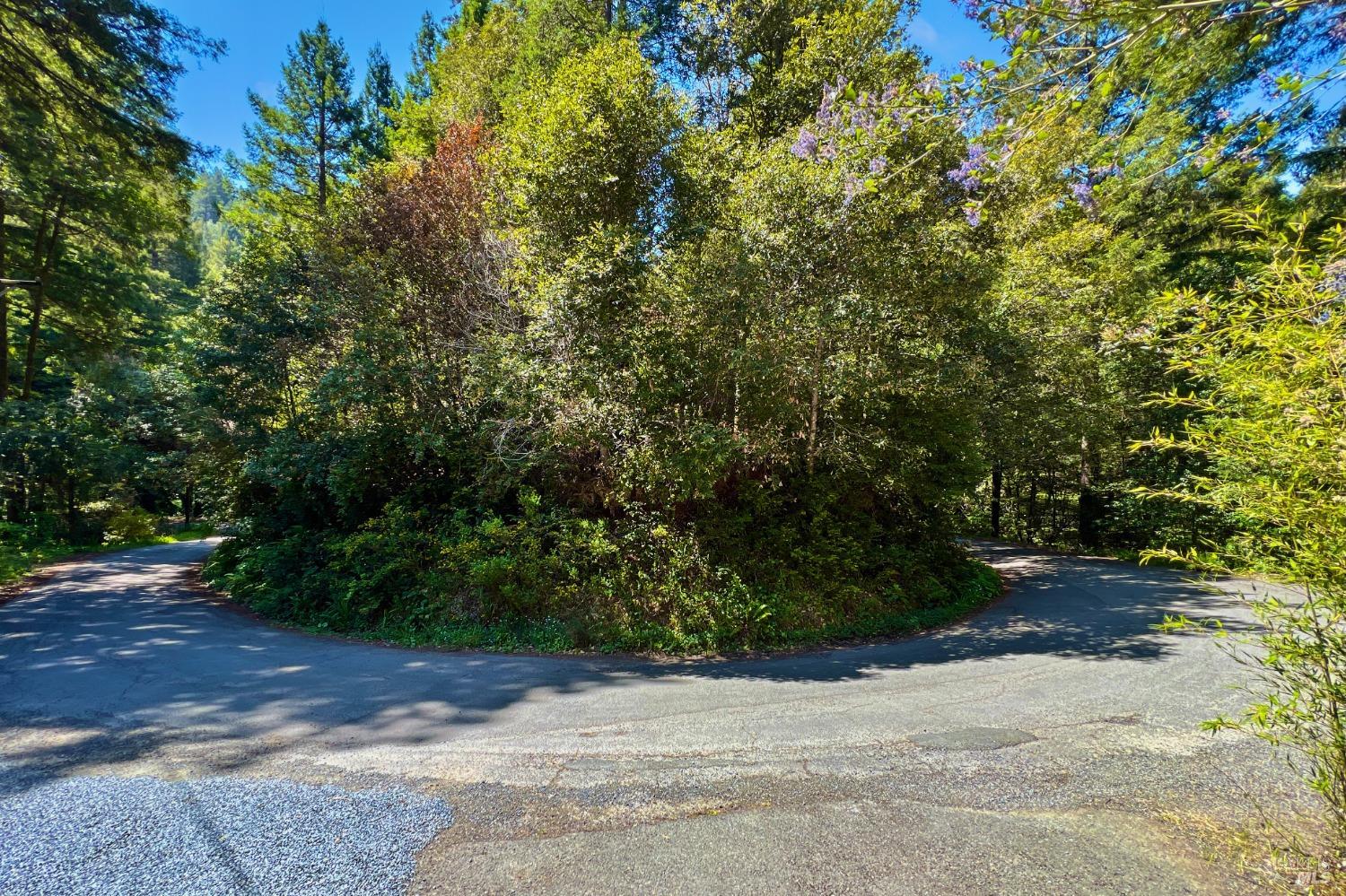 Detail Gallery Image 6 of 52 For 18333 Old Monte Rio Rd, Guerneville,  CA 95446 - 1 Beds | 2 Baths
