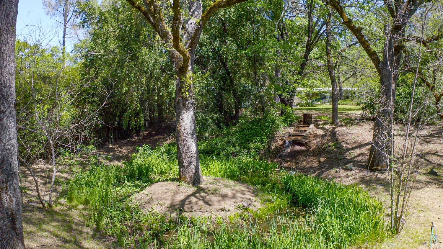 Detail Gallery Image 49 of 60 For 24019 Hilderbrand Rd, Middletown,  CA 95461 - 6 Beds | 2/3 Baths
