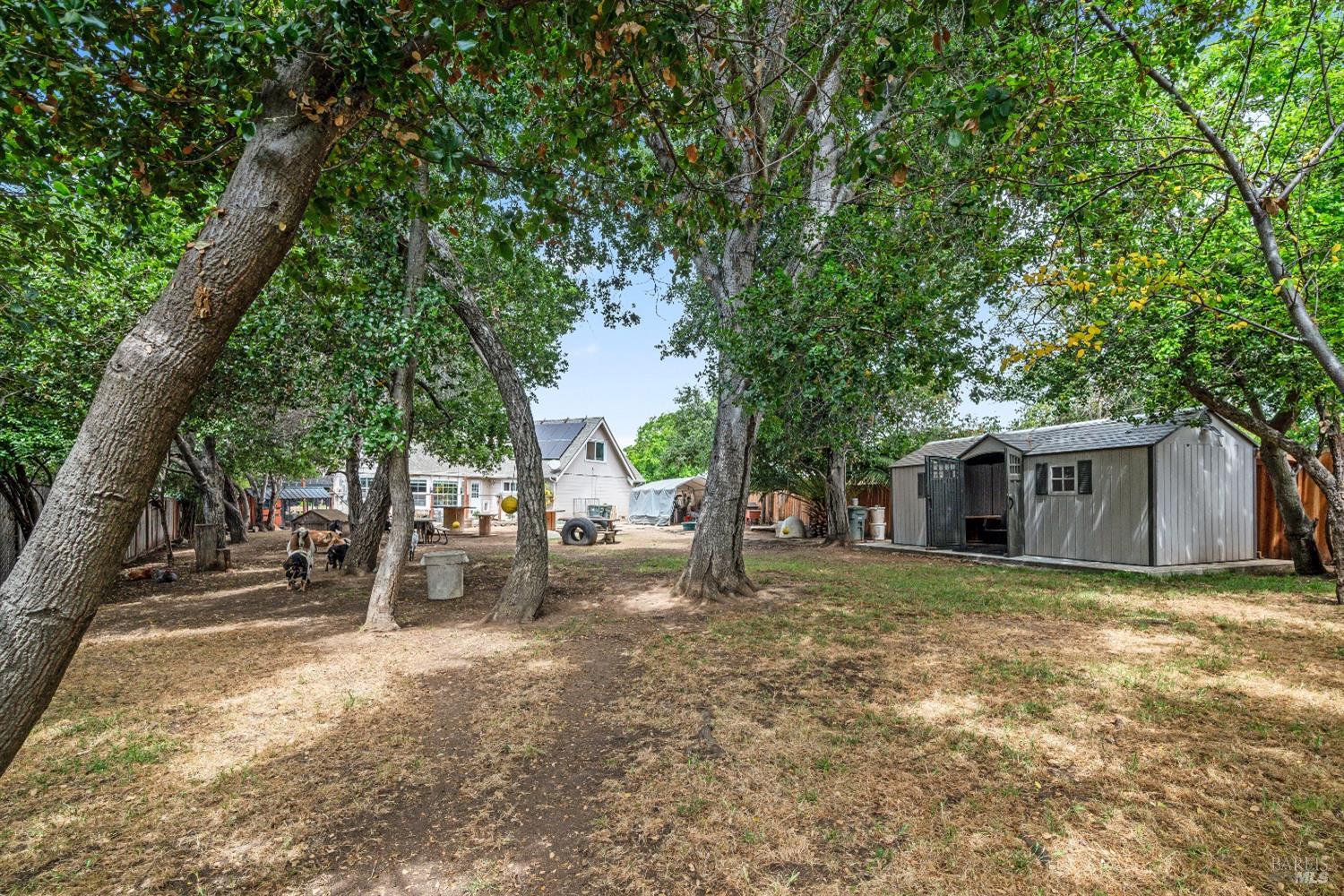 Del Mar Court, Vallejo, California image 41