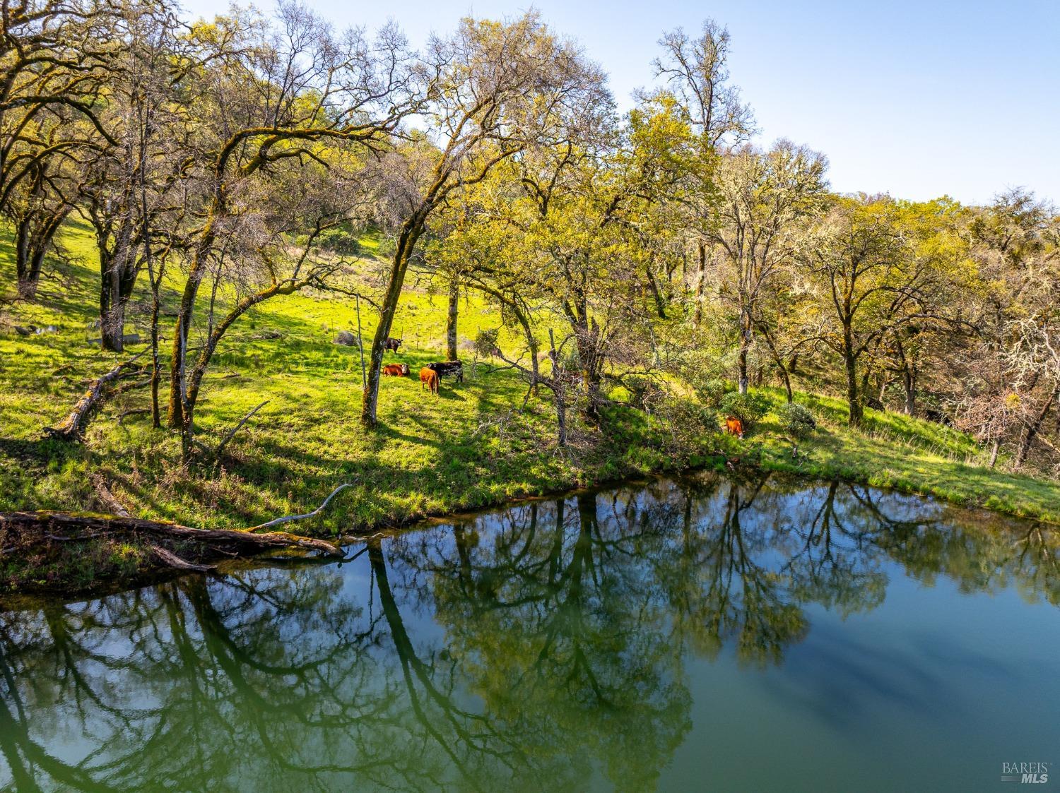 Detail Gallery Image 28 of 48 For 5155 Mill Creek Rd, Talmage,  CA 95481 - 4 Beds | 2 Baths