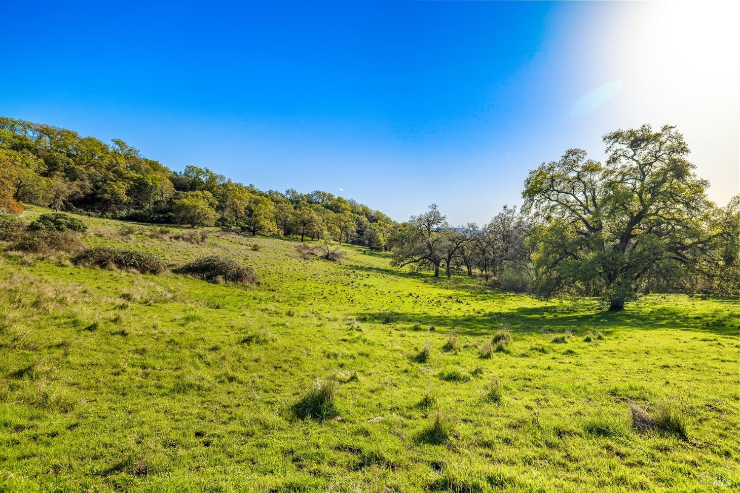 Detail Gallery Image 36 of 56 For 5155 Mill Creek Rd, Talmage,  CA 95481 - – Beds | – Baths