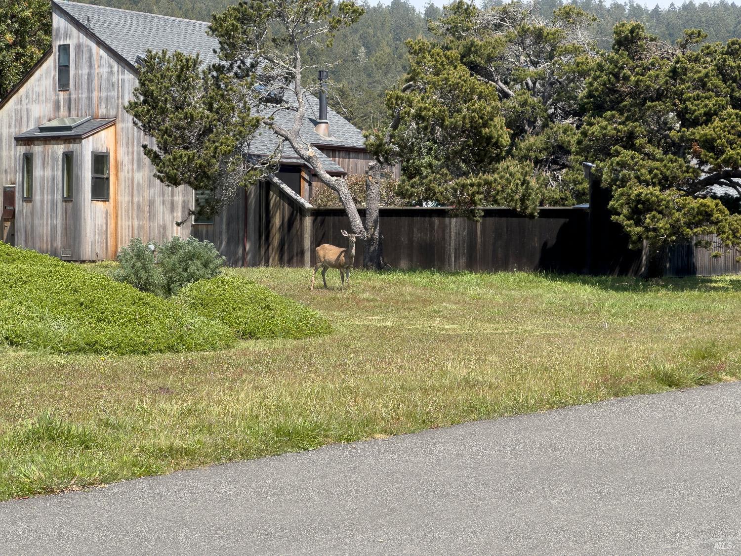 Detail Gallery Image 1 of 46 For 39462 Leeward Rd, The Sea Ranch,  CA 95497 - 2 Beds | 2 Baths
