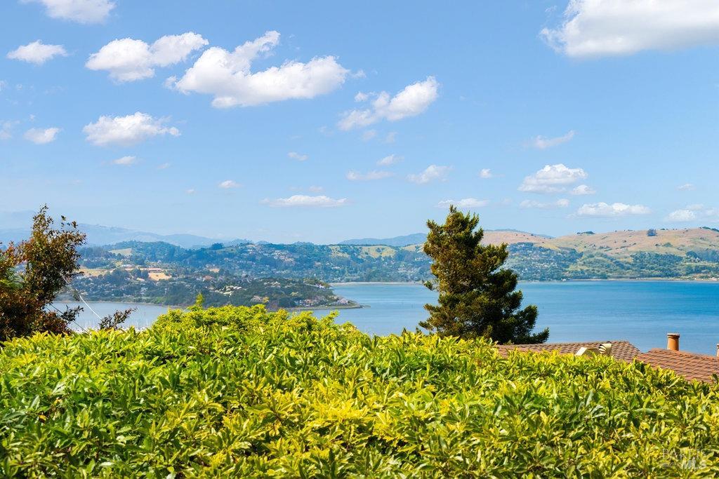 Detail Gallery Image 40 of 98 For 33 Wray Ave, Sausalito,  CA 94965 - 3 Beds | 2 Baths