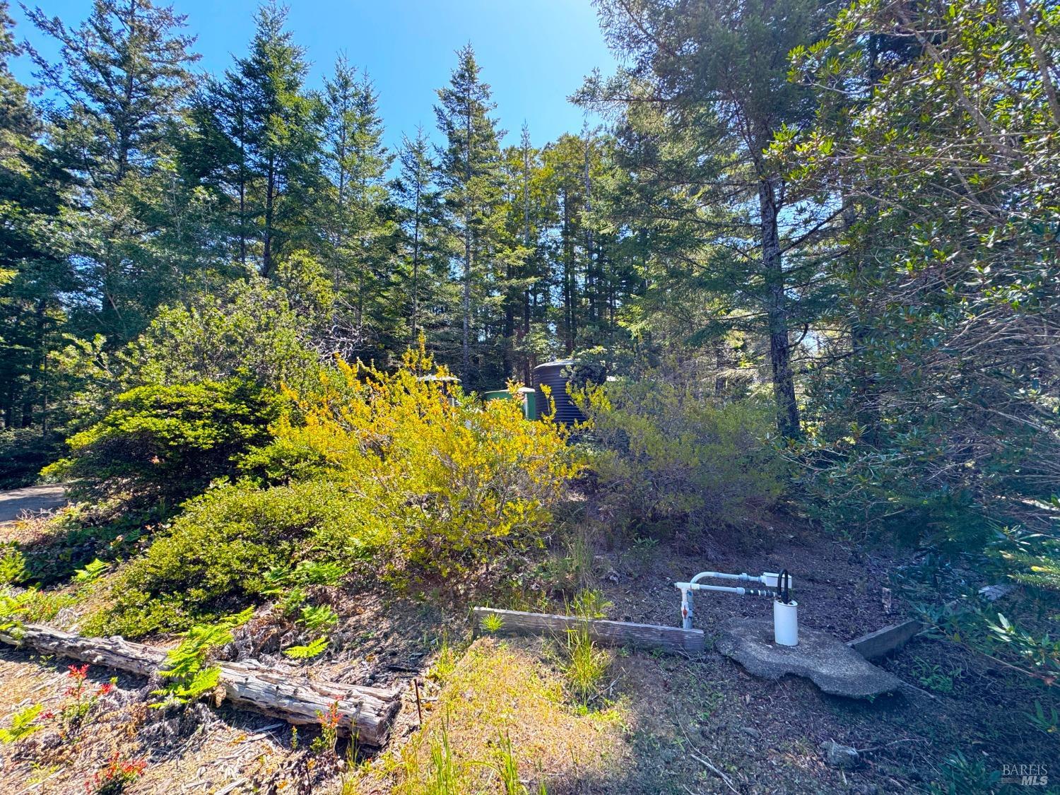 Detail Gallery Image 17 of 28 For 24680 Ten Mile Rd, Point Arena,  CA 95468 - 3 Beds | 2 Baths