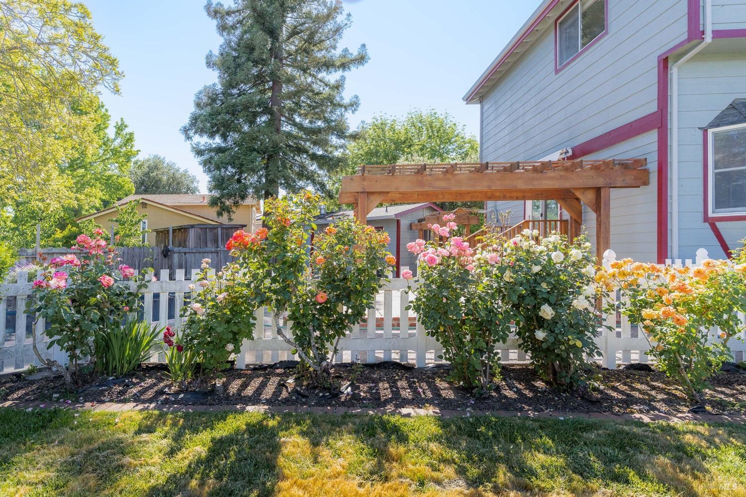 Detail Gallery Image 24 of 36 For 3756 Cano Ct, Napa,  CA 94558 - 4 Beds | 3/1 Baths