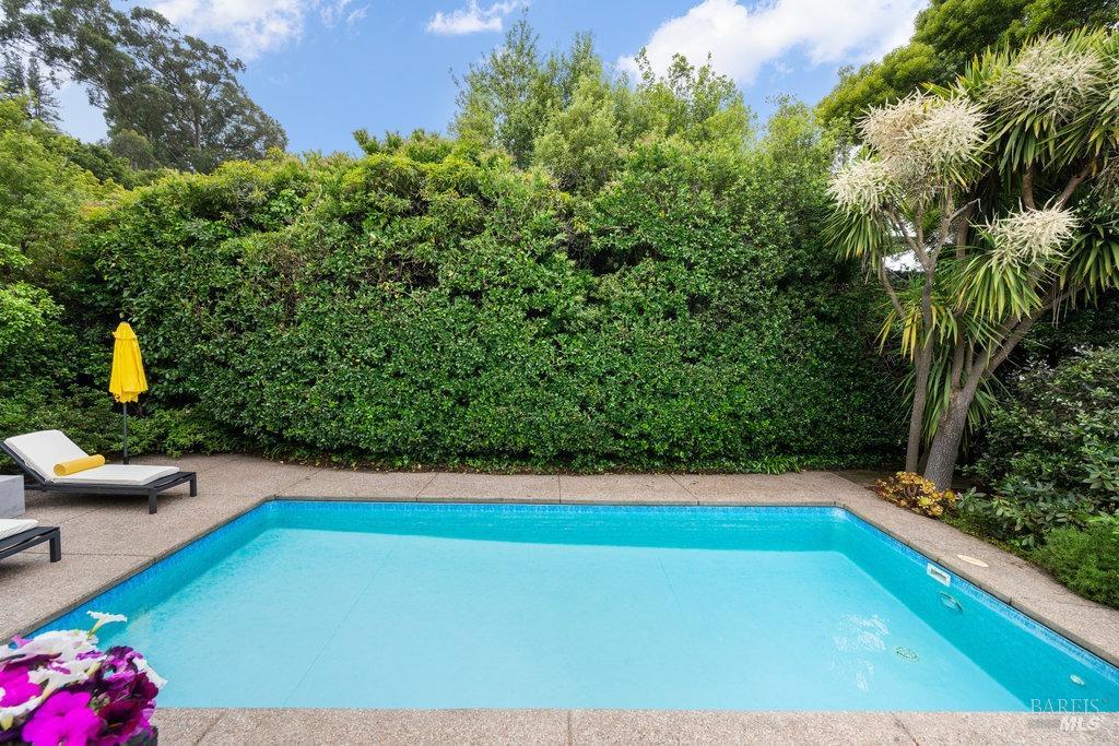 Detail Gallery Image 78 of 98 For 33 Wray Ave, Sausalito,  CA 94965 - 3 Beds | 2 Baths