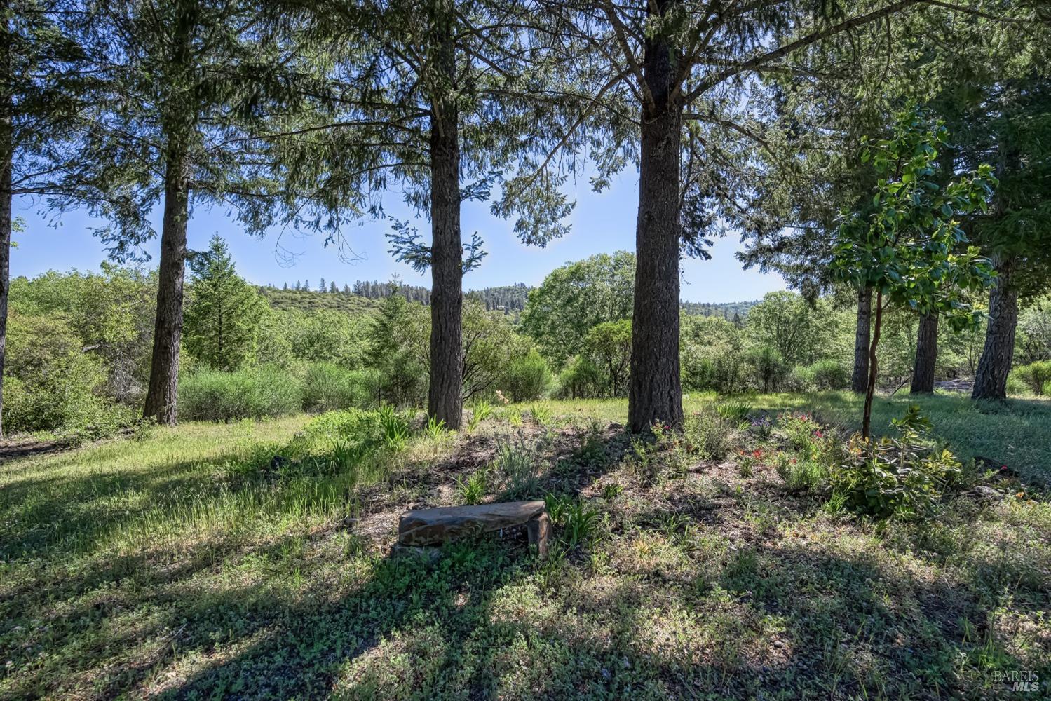 Detail Gallery Image 25 of 30 For 9115 Wildcat Rd, Kelseyville,  CA 95451 - 2 Beds | 2 Baths