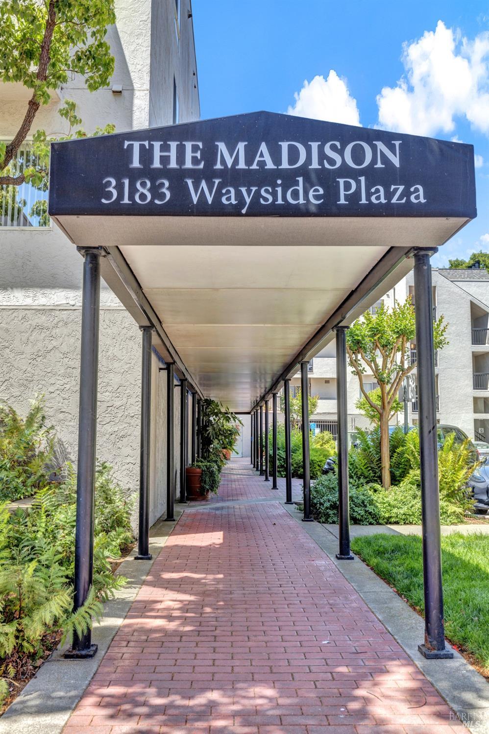 Detail Gallery Image 50 of 51 For 3183 Wayside Plz #319,  Walnut Creek,  CA 94597 - 2 Beds | 2 Baths