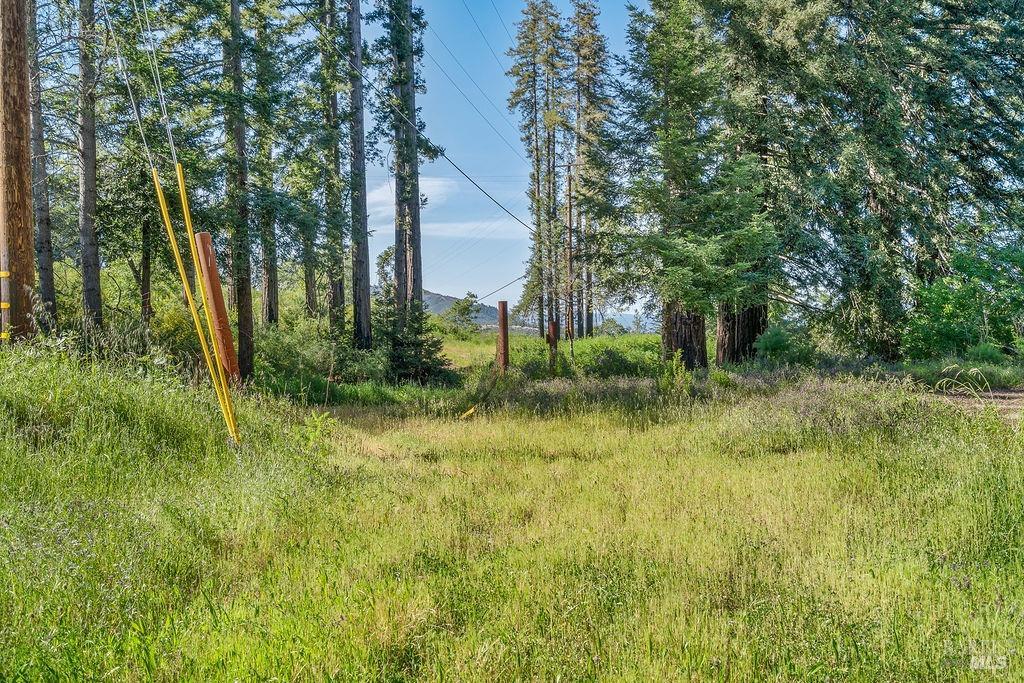 Detail Gallery Image 38 of 43 For 3500 Mount Veeder Rd, Napa,  CA 94558 - 3 Beds | 2 Baths
