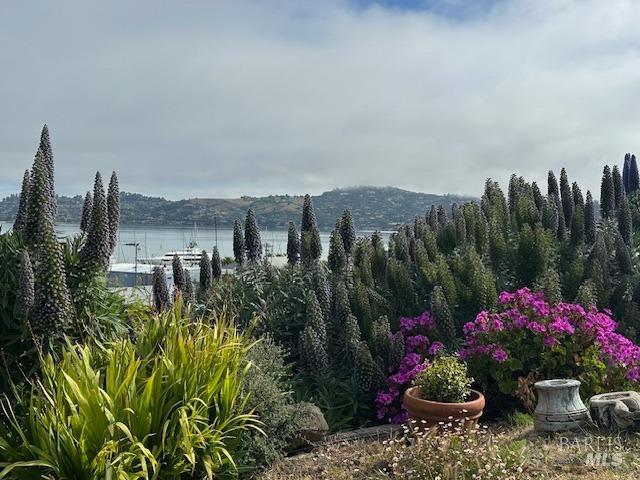 Detail Gallery Image 35 of 36 For 503 Easterby St, Sausalito,  CA 94965 - 5 Beds | 4 Baths