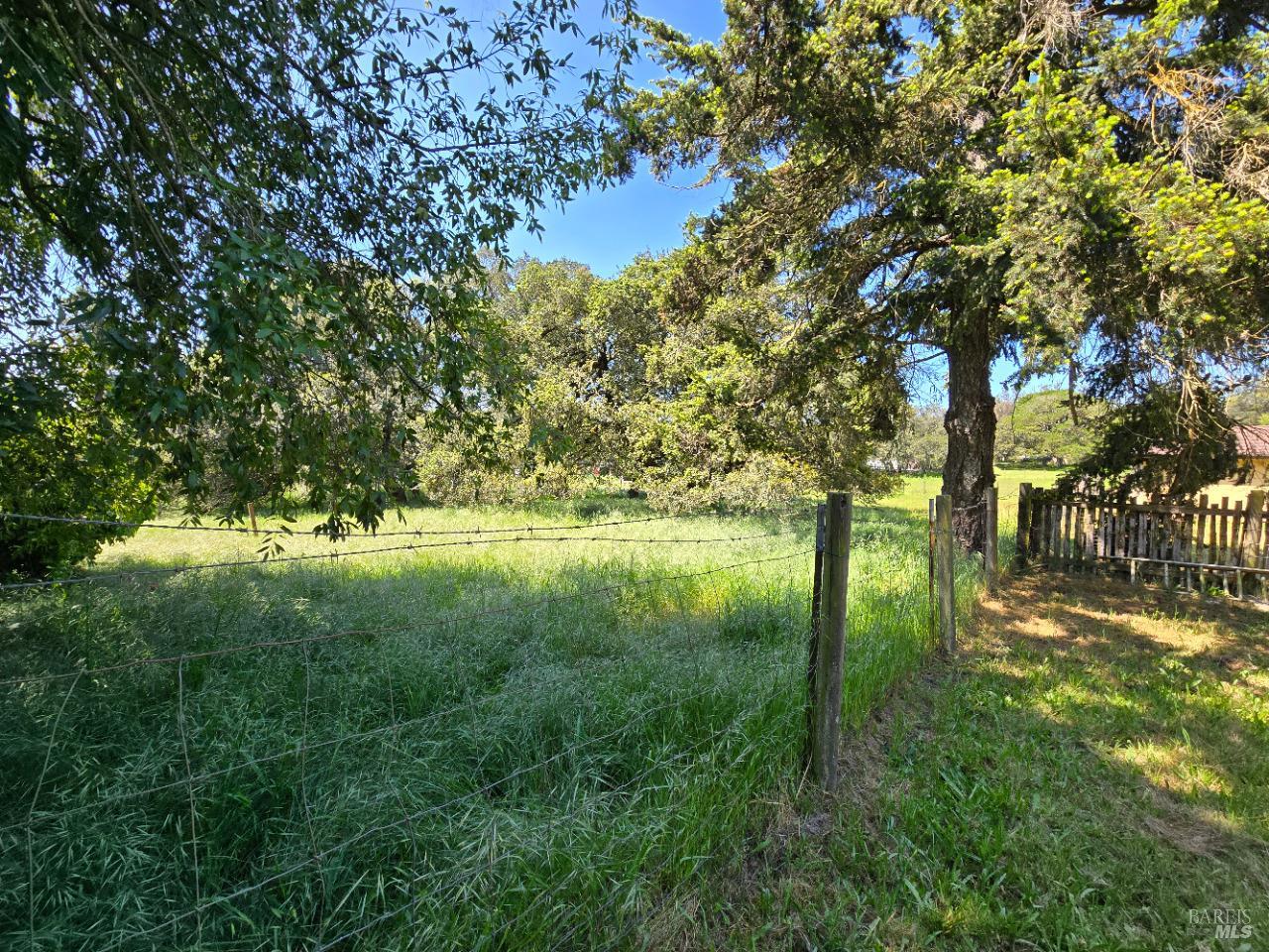 Detail Gallery Image 7 of 42 For 239 Live Oak Dr, Petaluma,  CA 94952 - 2 Beds | 1 Baths