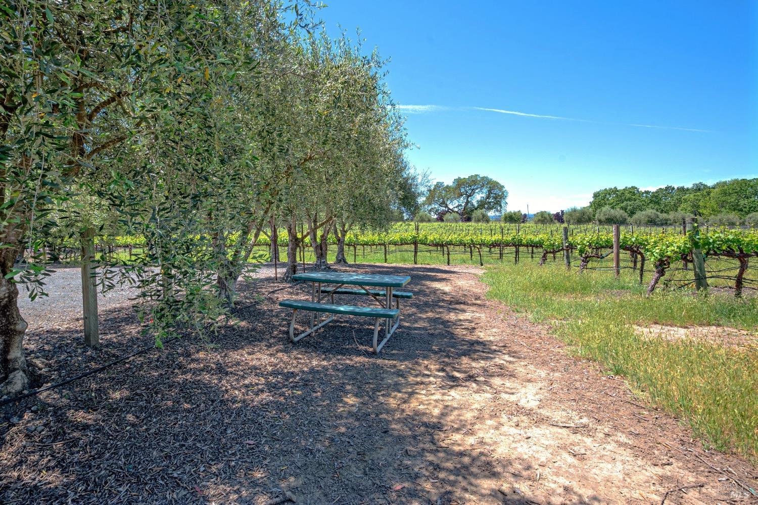 Detail Gallery Image 13 of 16 For 5375 Hall Rd, Santa Rosa,  CA 95401 - – Beds | – Baths