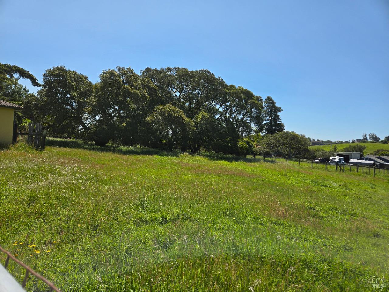 Detail Gallery Image 6 of 42 For 239 Live Oak Dr, Petaluma,  CA 94952 - 2 Beds | 1 Baths