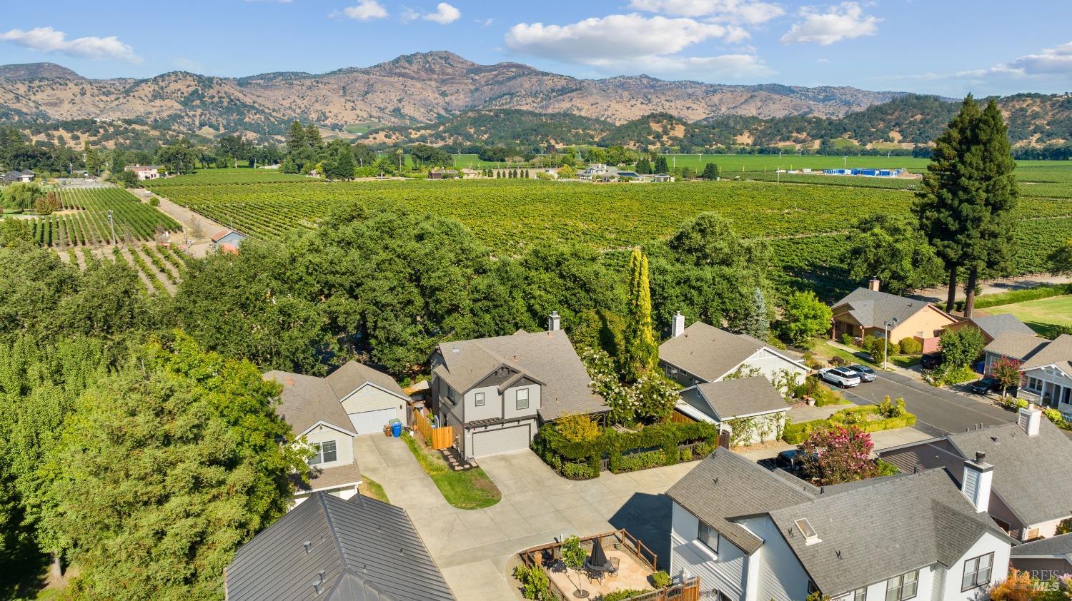 Detail Gallery Image 1 of 54 For 4 Forrester Ln, Yountville,  CA 94599 - 3 Beds | 2/1 Baths