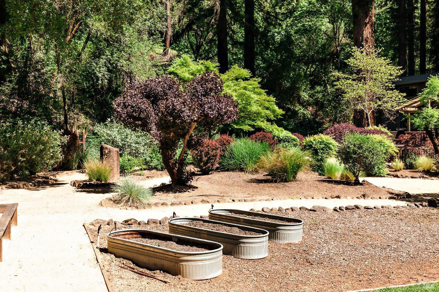 Detail Gallery Image 30 of 46 For 2859 Wallace Creek Rd, Healdsburg,  CA 95448 - 2 Beds | 2 Baths