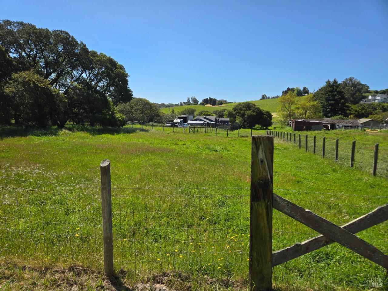 Detail Gallery Image 8 of 42 For 239 Live Oak Dr, Petaluma,  CA 94952 - 2 Beds | 1 Baths