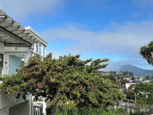 Detail Gallery Image 3 of 36 For 503 Easterby St, Sausalito,  CA 94965 - 5 Beds | 4 Baths