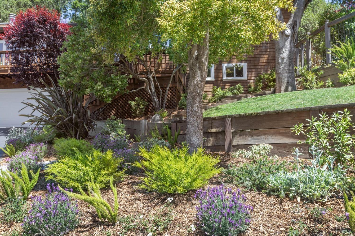 Detail Gallery Image 59 of 79 For 7 Madrono Ave, Corte Madera,  CA 94925 - 4 Beds | 3 Baths