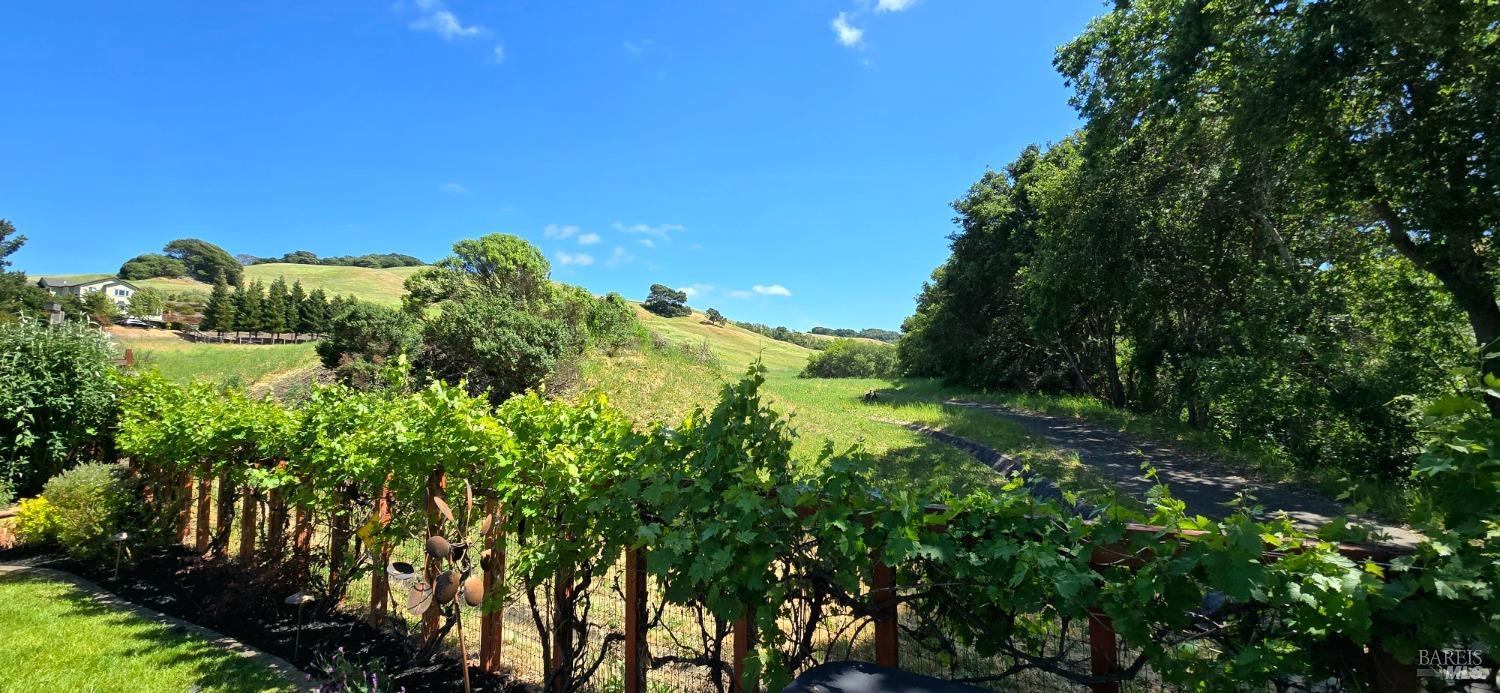 Detail Gallery Image 8 of 68 For 412 Black Oak Dr, Petaluma,  CA 94952 - 5 Beds | 3 Baths