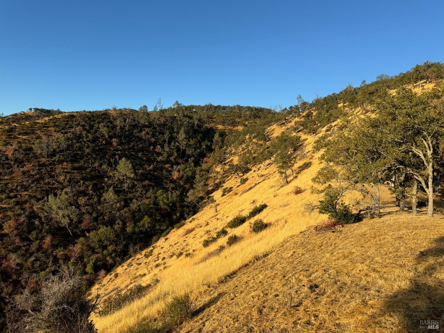 Detail Gallery Image 41 of 44 For 0 State Highway 128 Unkn, Napa,  CA 94558 - – Beds | – Baths