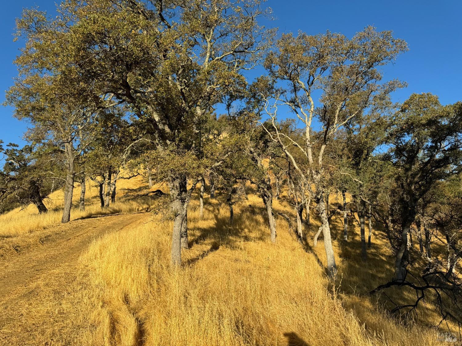 Detail Gallery Image 34 of 44 For 0 State Highway 128 Unkn, Napa,  CA 94558 - – Beds | – Baths