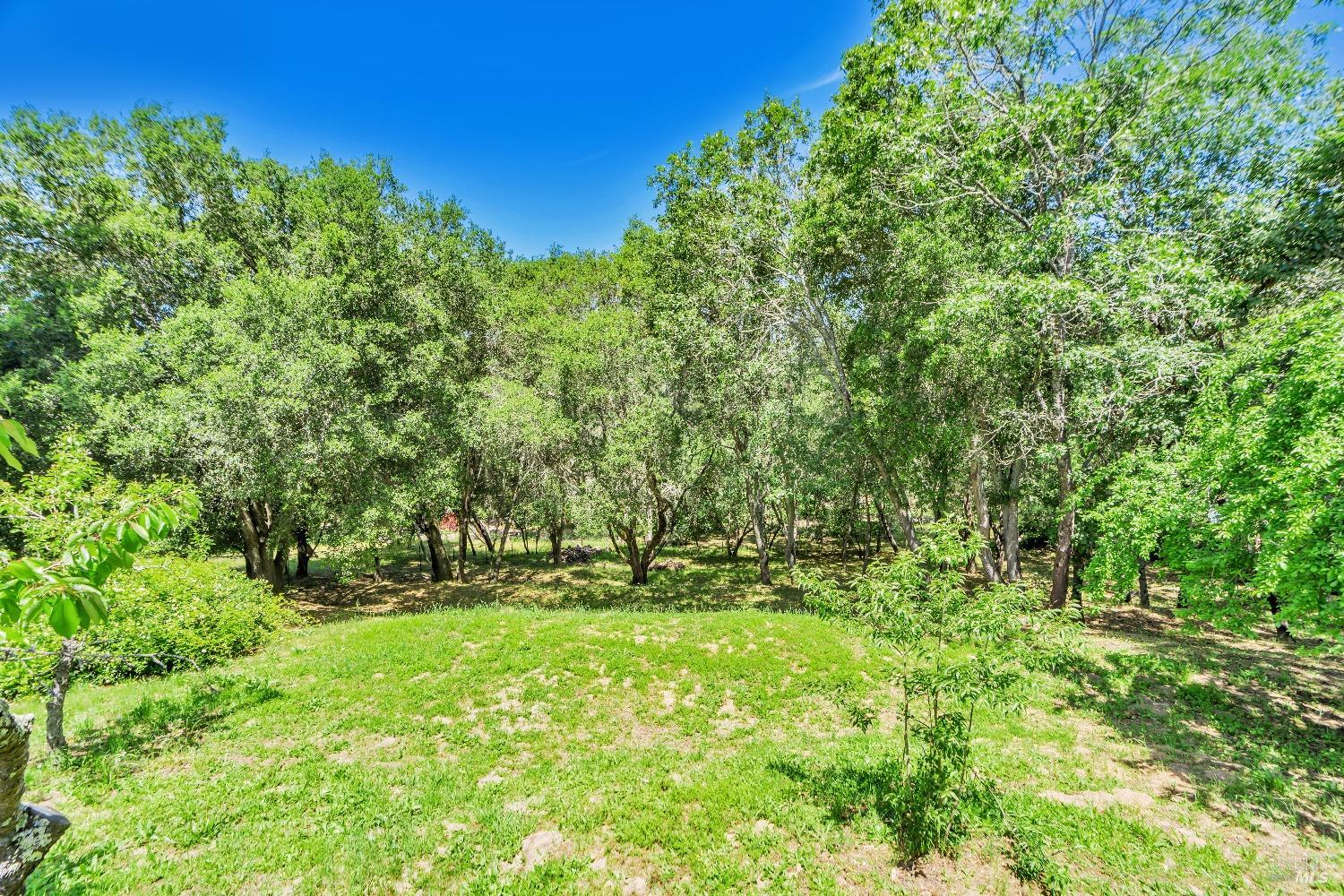 Detail Gallery Image 45 of 55 For 4765 Guerneville Rd, Santa Rosa,  CA 95401 - 3 Beds | 3 Baths