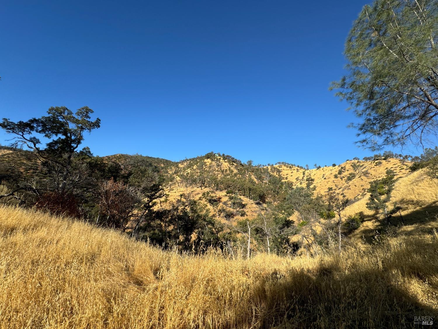 Detail Gallery Image 16 of 44 For 0 State Highway 128 Unkn, Napa,  CA 94558 - – Beds | – Baths