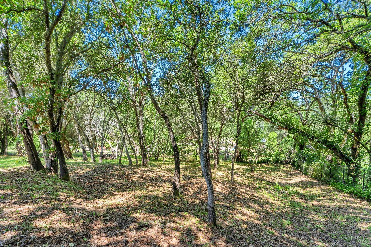 Detail Gallery Image 46 of 55 For 4765 Guerneville Rd, Santa Rosa,  CA 95401 - 3 Beds | 3 Baths