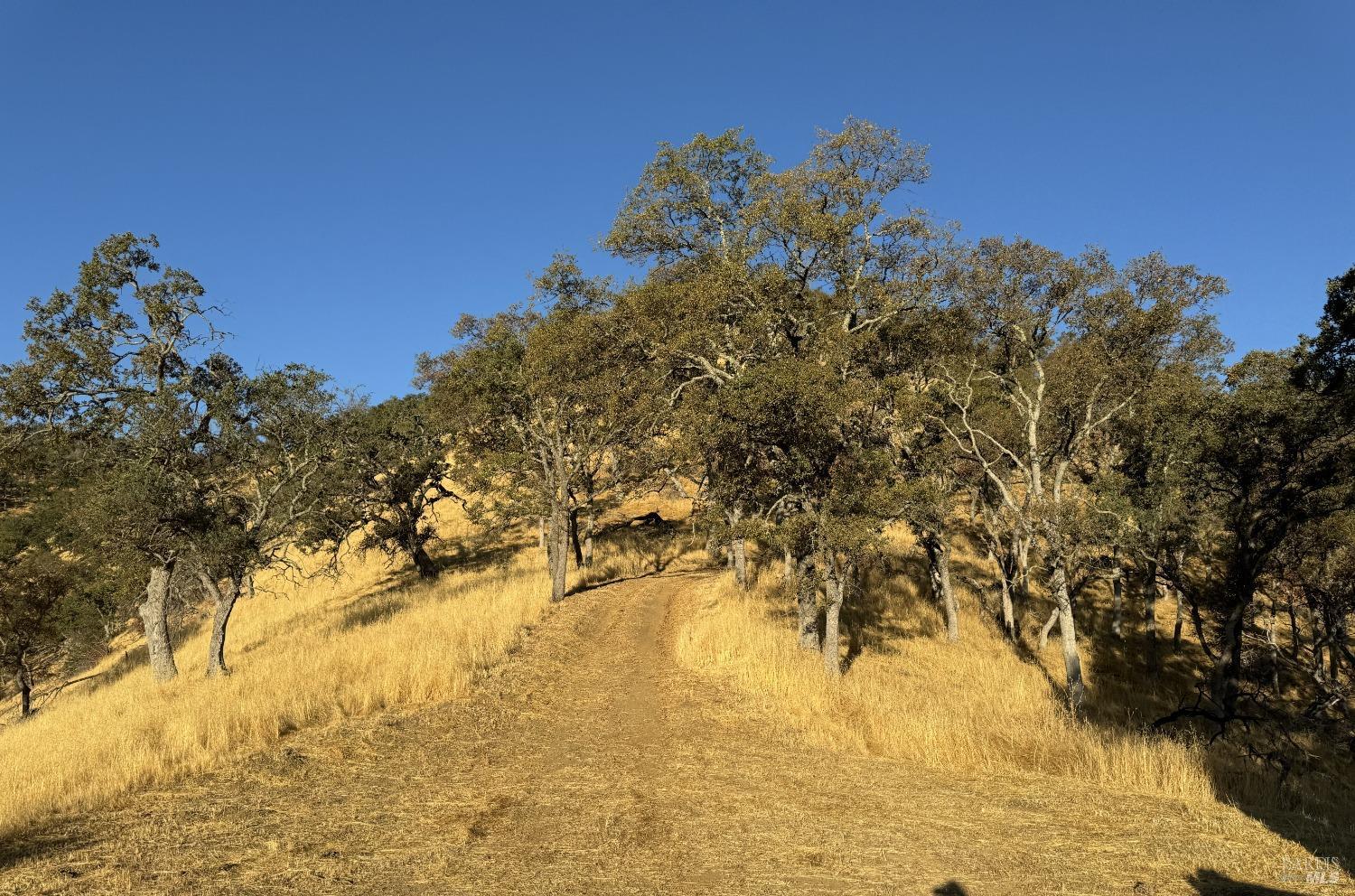 Detail Gallery Image 3 of 44 For 0 State Highway 128 Unkn, Napa,  CA 94558 - – Beds | – Baths