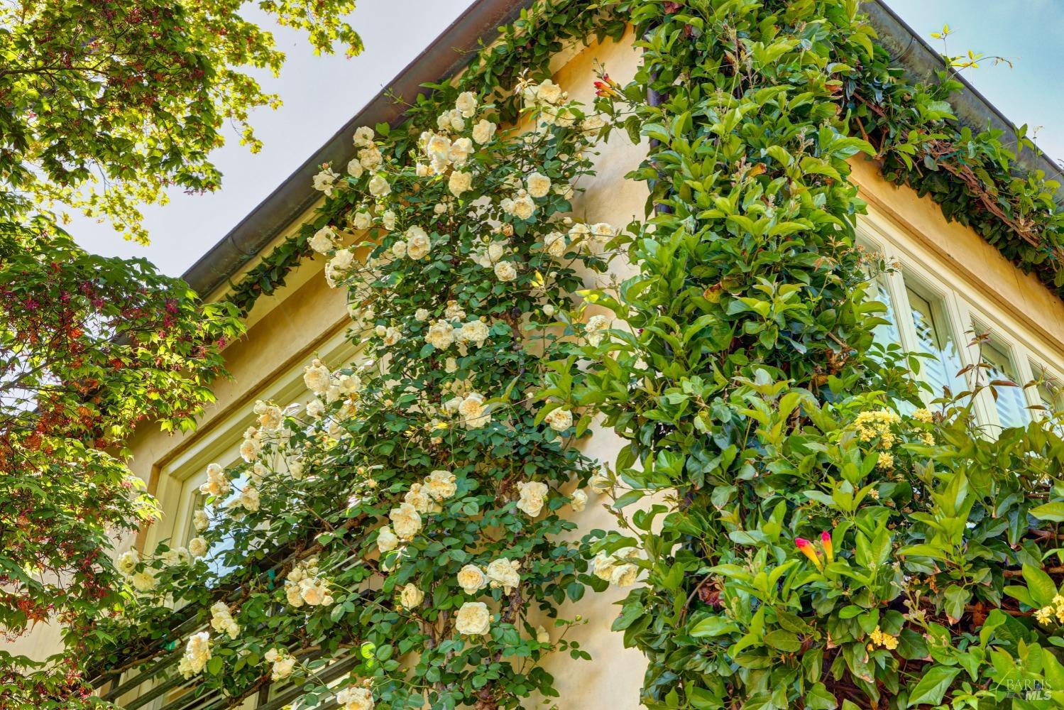 Detail Gallery Image 56 of 73 For 72 Lagoon Rd, Belvedere,  CA 94920 - 4 Beds | 2/1 Baths