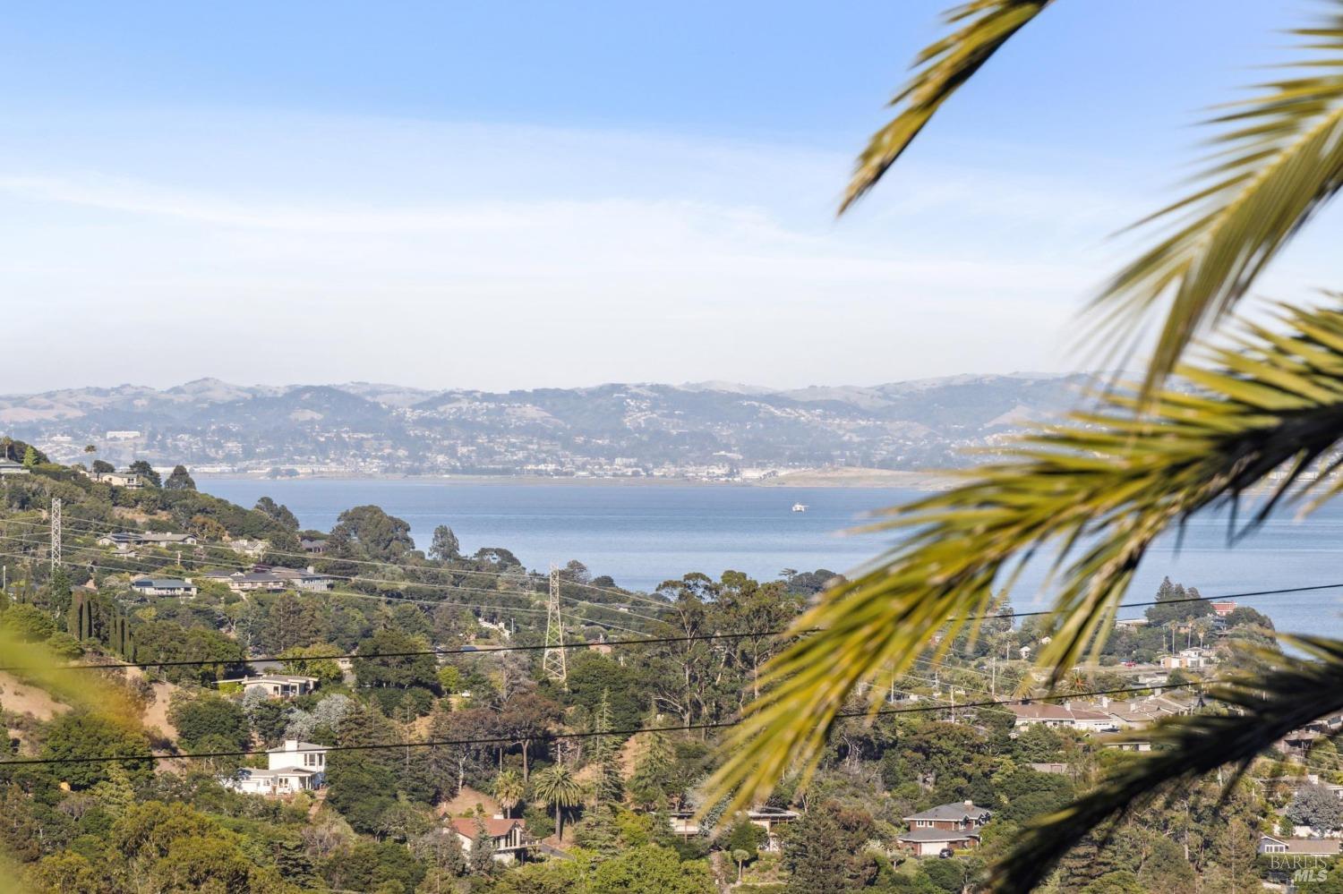 Detail Gallery Image 66 of 71 For 133 Deer Park Ave, San Rafael,  CA 94901 - 6 Beds | 6 Baths