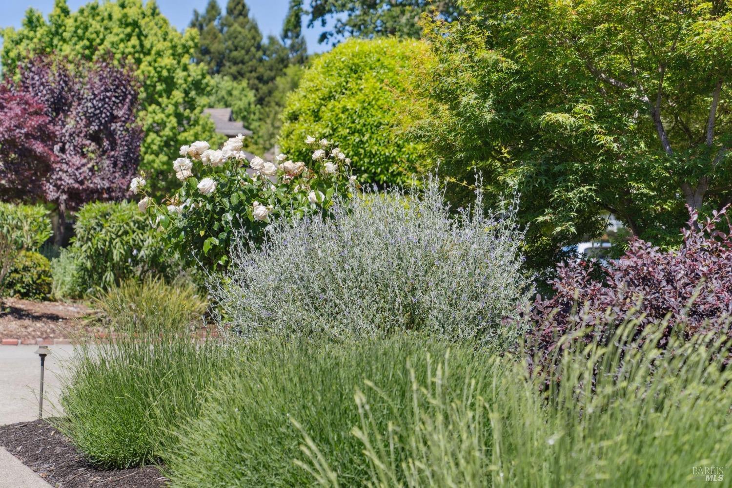 Detail Gallery Image 60 of 61 For 249 Los Palos St, Sonoma,  CA 95476 - 3 Beds | 3 Baths